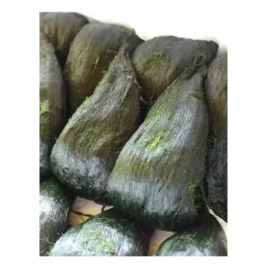 완도 매생이 냉동 매생이 생매생이 메생이 매생이국