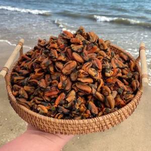 국산 건홍합 500g 상급 마른홍합 말린홍합 건어물