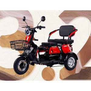 노인 삼륭 오토바이 바이크 스쿠터 마실 전기 세발