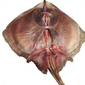 DP17669 1kg (4-6미) 담백쫀득 간재미 반건조