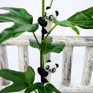 에덴플랜트 팬더 피규어 식물 장식 (6개 1세트) 가드닝 화분장식 판다