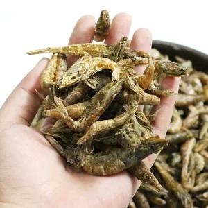 동해안 보리새우 500g