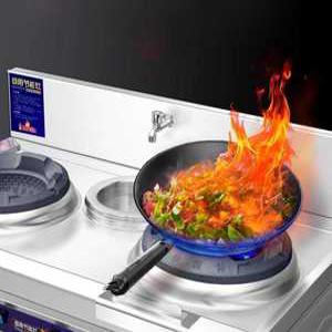 selllin 간택기화구 주방 영업용 업소용 2구 가스렌지