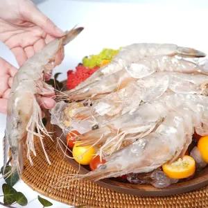 이오수산을담다 자연산 국내산 제철 암대하 특특사이즈