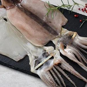 [자연맛남]영덕직송 쫄깃 피데기 반건조오징어 5+5마리(상/900g내외)