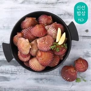 [산지명인] 통영 비단 홍 가리비 2kg 40-50미 제철 세척 조개구이