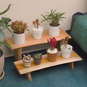 [콩심팥심]계단식 통원목 화분 진열대 원목 선반 60cm 식물선반 베란다화분선반