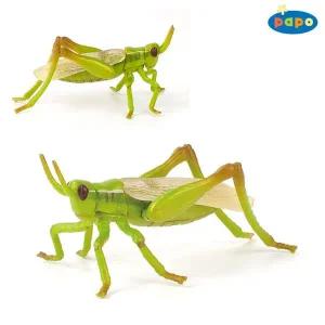 모형완구 동물학습 동물모형 파포 메뚜기 50268