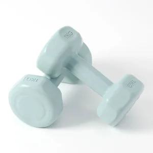GDM 여성 블루 1kg 육각 아령 2개 세트 국산덤벨 홈트 레이닝 집에서운동하기 근력 헬스장 기구 고무