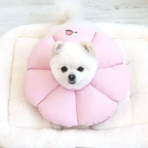 패리스독 꿀잠카라 핑크XL강아지넥 고양이 깔대기 목보호대 깔때기 반려견 반려 수술 미용