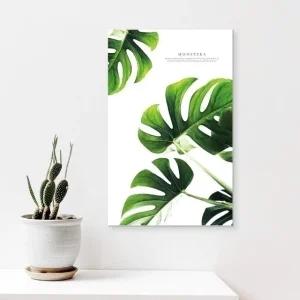 ( 출고옵션 - 25X40cm ) 감성 식물 캔버스액자 몬스테 (WF167FB)