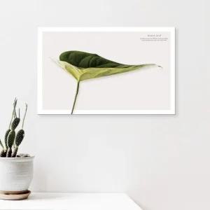 ( 출고옵션 - 25X25cm ) 식물 캔버스액자 그린잎 (WF16823)