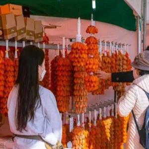 [당일/기차] 과일의 고장, 영동 곶감축제 + 와인족욕체험