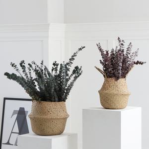 해초바구니 라탄 왕골 화분 커버 카페 인테리어