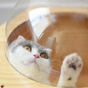 투명반구 아크릴구 사출 2T 아크릴반구 200파이(mm)