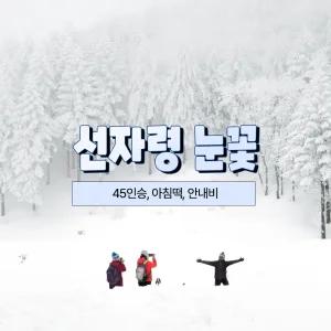 강원 선자령 눈꽃 트래킹 당일여행