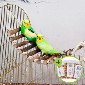 천연 원목 나무사다리 구름다리 그네 앵무새 00731