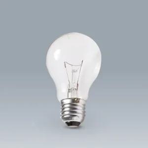 [더원사이언스] 백열전구(전기스탠드용)(220V, 100W) KSIC-1623/물리. 빛/과학교구