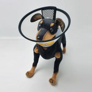 애견 넥카라 강아지 고양이 목보호대 투명 깔대기