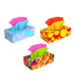 레노바 컬러 미용곽티슈 3세트