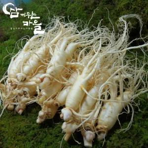 햇수삼 고려인삼 세척수삼 난발삼 원삼 홍삼제조용 삼계탕 가정용