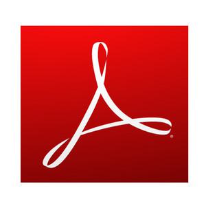 Acrobat Standard DC for teams 한글 1년 구독형 / 아크로벳 스탠다드