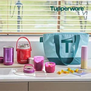 타파웨어 보온통세트 2025년 단한번 구성 역대최다구성