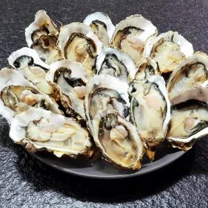 통영 굴 손질 석화 하프셀 60미 100미 150미