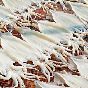 국내가공 동해안 반건조 오징어 중형 10미 700g