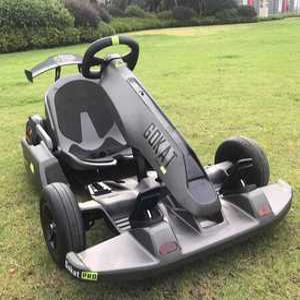 아리샵 고카트 1인용 전기차 루지 카트 전동 레저용 간편한 운동 소형