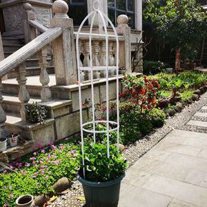 슬림 아치 넝쿨 정원데코 펜스 인테리어 식물 정원용