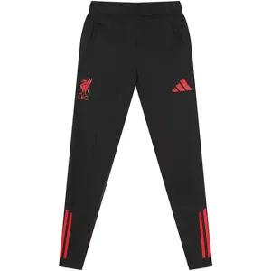 [정품] 아디다스 리버풀 FC 트레이닝 팬츠 (JV6566)