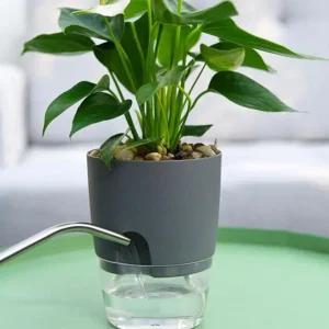 자동 급수 미니 인테리어 화분 북유럽 모던 식물 키우기 소품