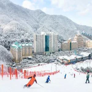 25/26 비발디파크 동계 리프트/장비렌탈 PKG/스노위랜드/오션월드 오픈이벤트/비발디파크/비발디파크 스키/비발디파크 보드/스노위랜드/오션월드