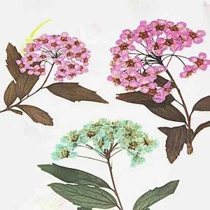 티커 꾸미기 선물포장 다이어리 문구 플라워 다꾸 E 다이어리