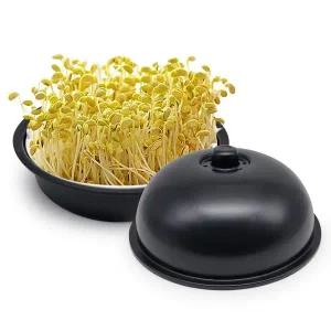 블랙식물재배기 원형새싹장치 홍콩콩나물재배 콩나물키우기