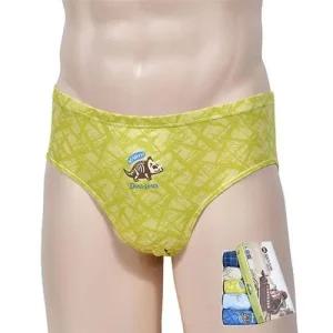 VIVADAY-SB503 남아동 삼각팬티 5매입 WFKMY0T