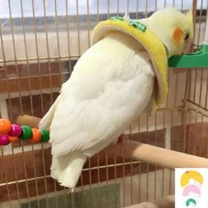 앵무새 깃털 넥카라 보호 앵무새옷 자해방지 조류옷 용품