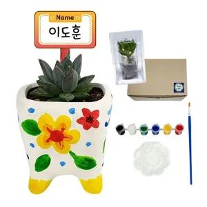 입체화분 다육식물 만들기 물감세트 식물 보호케이스 포함