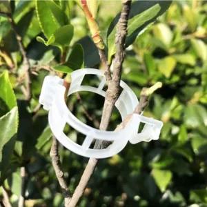 클립 화분 고춧대 몬스테라 쓰러짐방지 지지대 식물지지클립 분재철사 화분지지대철사