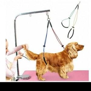 애완동물 더블와이어 강아지자동거품기 소프트 테이블 유압 1645701