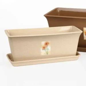 선인장 식물 화분 2호 직사각형 미니 베이지 현관 장식