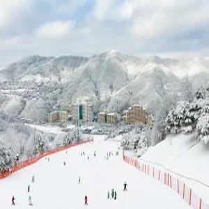 25/26 비발디파크 동계 리프트/장비렌탈 PKG/스노위랜드/오션월드