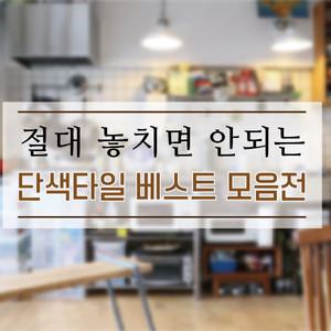 단색타일 모음 도기질 벽면사용 욕실 주방 현관 타일