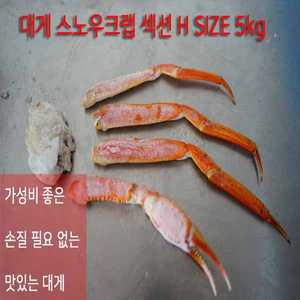 노르웨이 스노우크랩 대게 섹션 5kg 5L-H 직수입