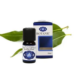 보타닉 잉글랜드 테라피 등급 유칼립투스 라디아타 에센셜 오일 10ml 천연 아로마