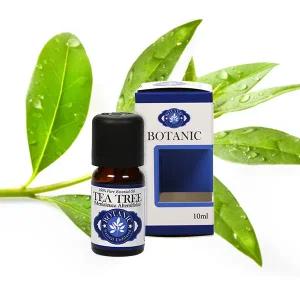 보타닉 잉글랜드 테라피 등급 티트리 에센셜 오일 10ml 천연 아로마