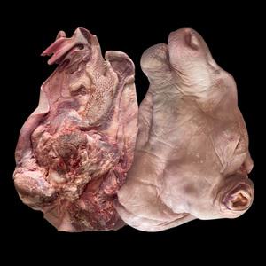 한우 암소 통 소머리 한마리 반마리 우설 황소 거세 편육