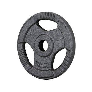 [GD] 클래식 주물 원판 추감기용 경량 원판 바벨