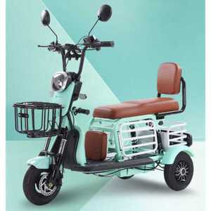삼륜 전동 스쿠터 전기바이크 노인전동차 운반 삼발